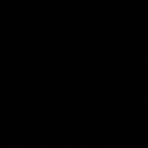 Meet your Posher, Celeste